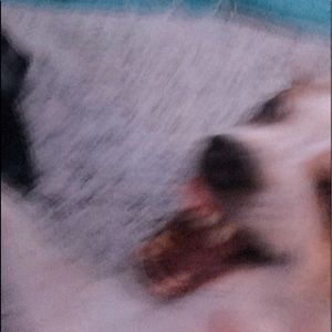 Meet your Posher, Madelynn